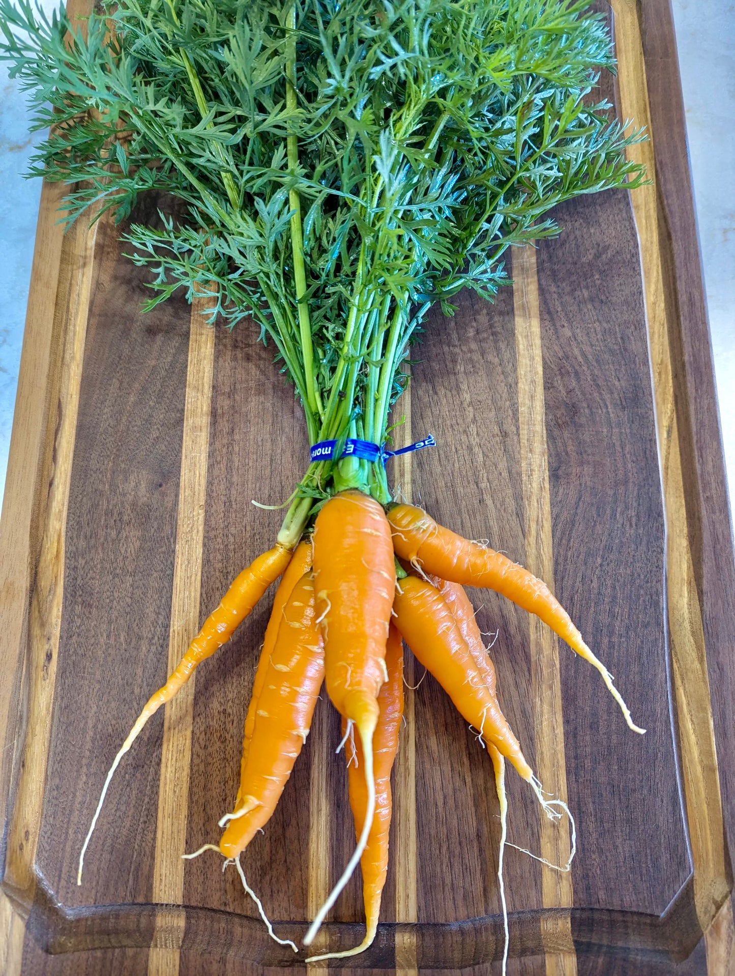 Carrots (bundle)