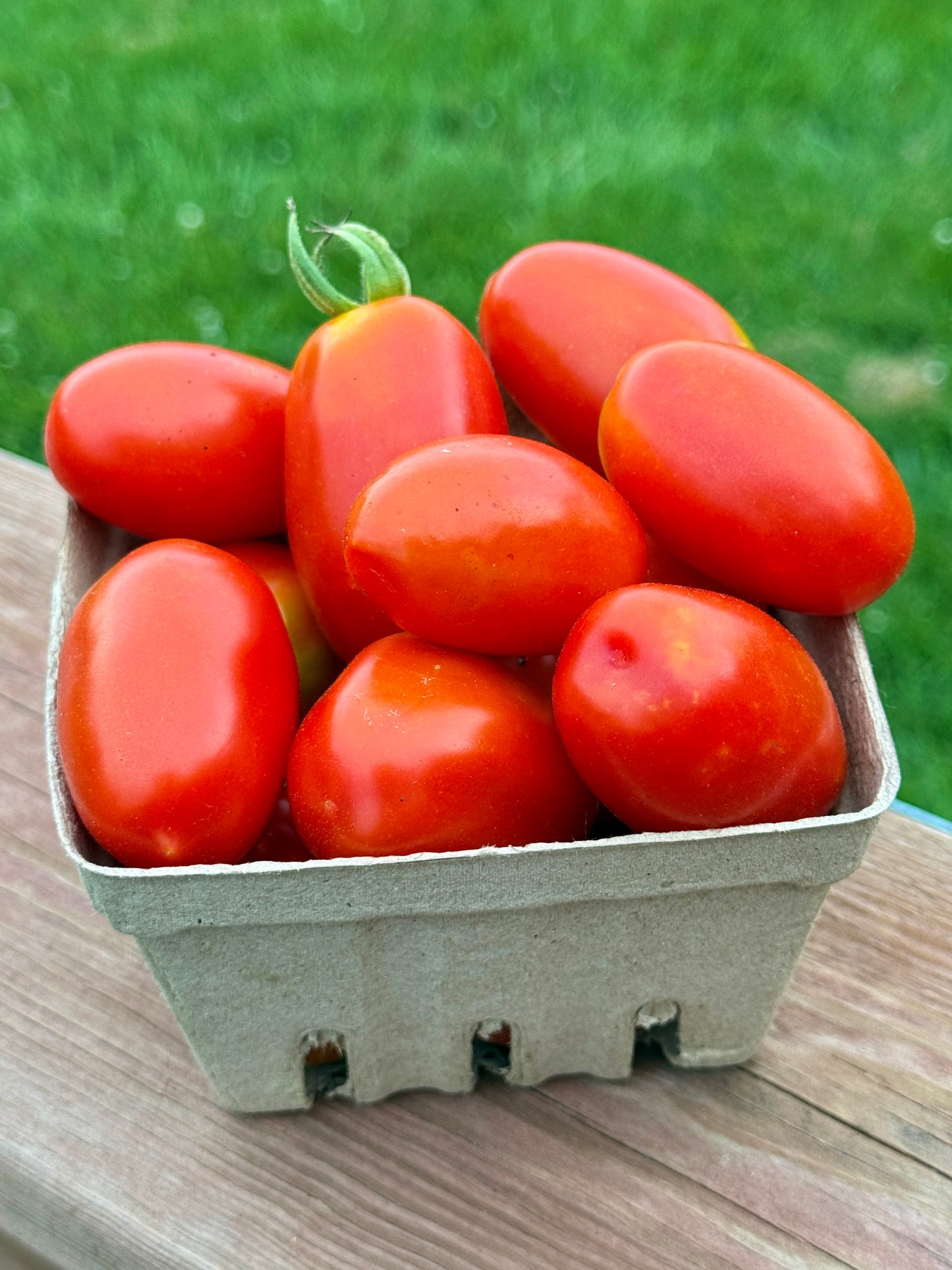 Juliet Tomatoes (pint)