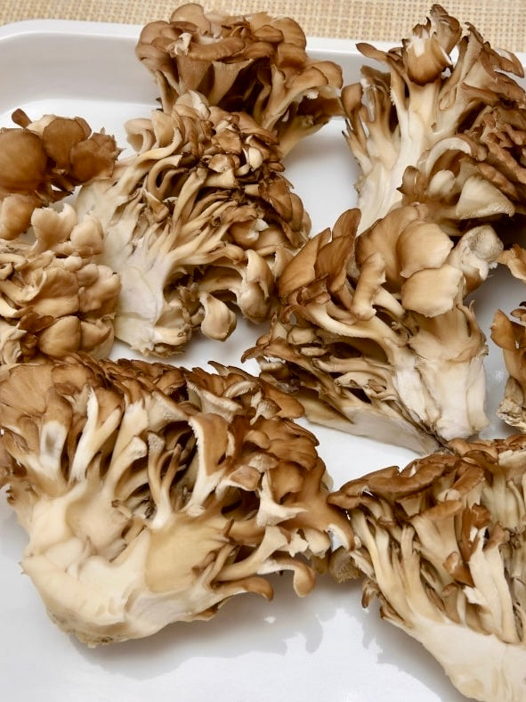 Hen of the Woods Mushrooms (6 oz.)