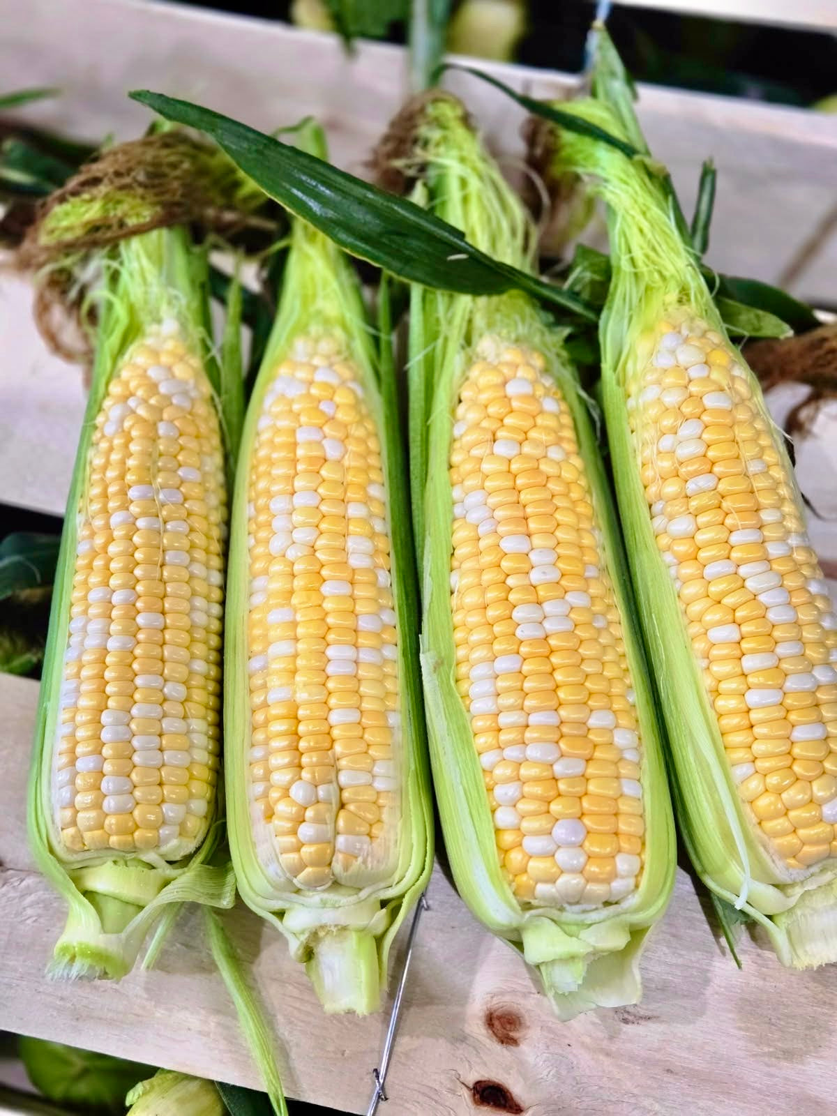 Sweet Corn