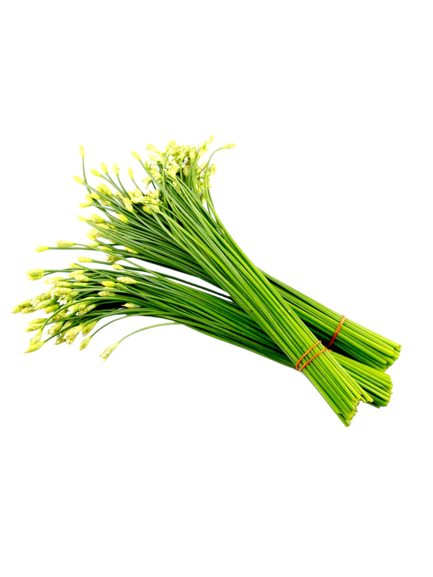 Garlic Chives (bundle)