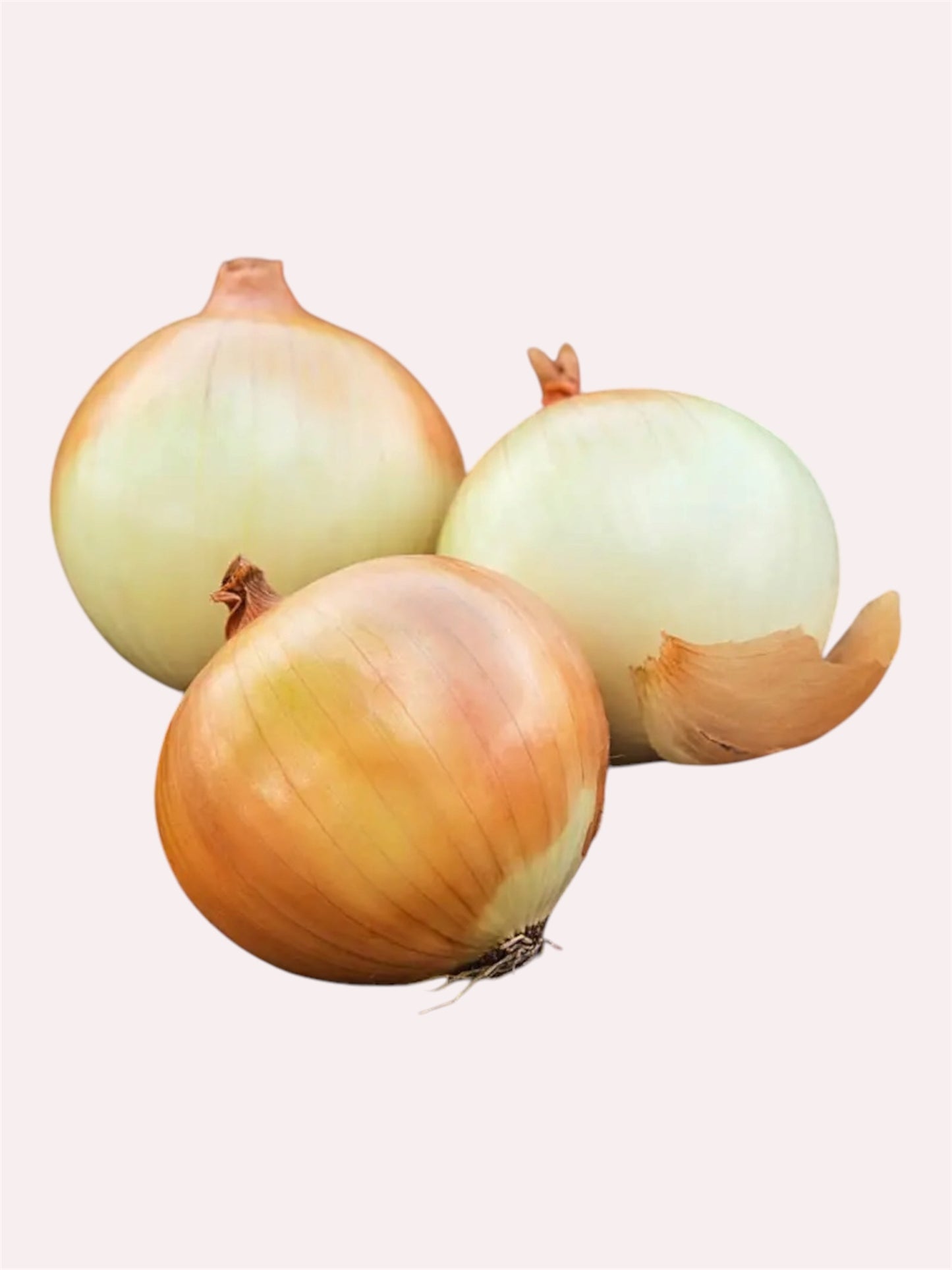 Candy Onions (1 lb.)