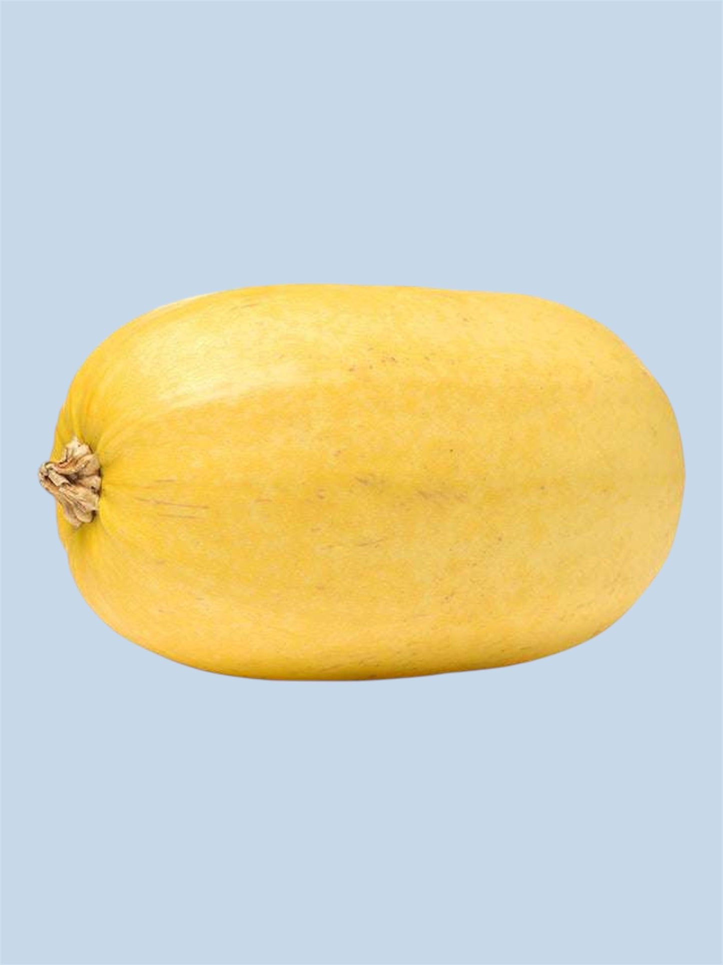 Spaghetti Squash