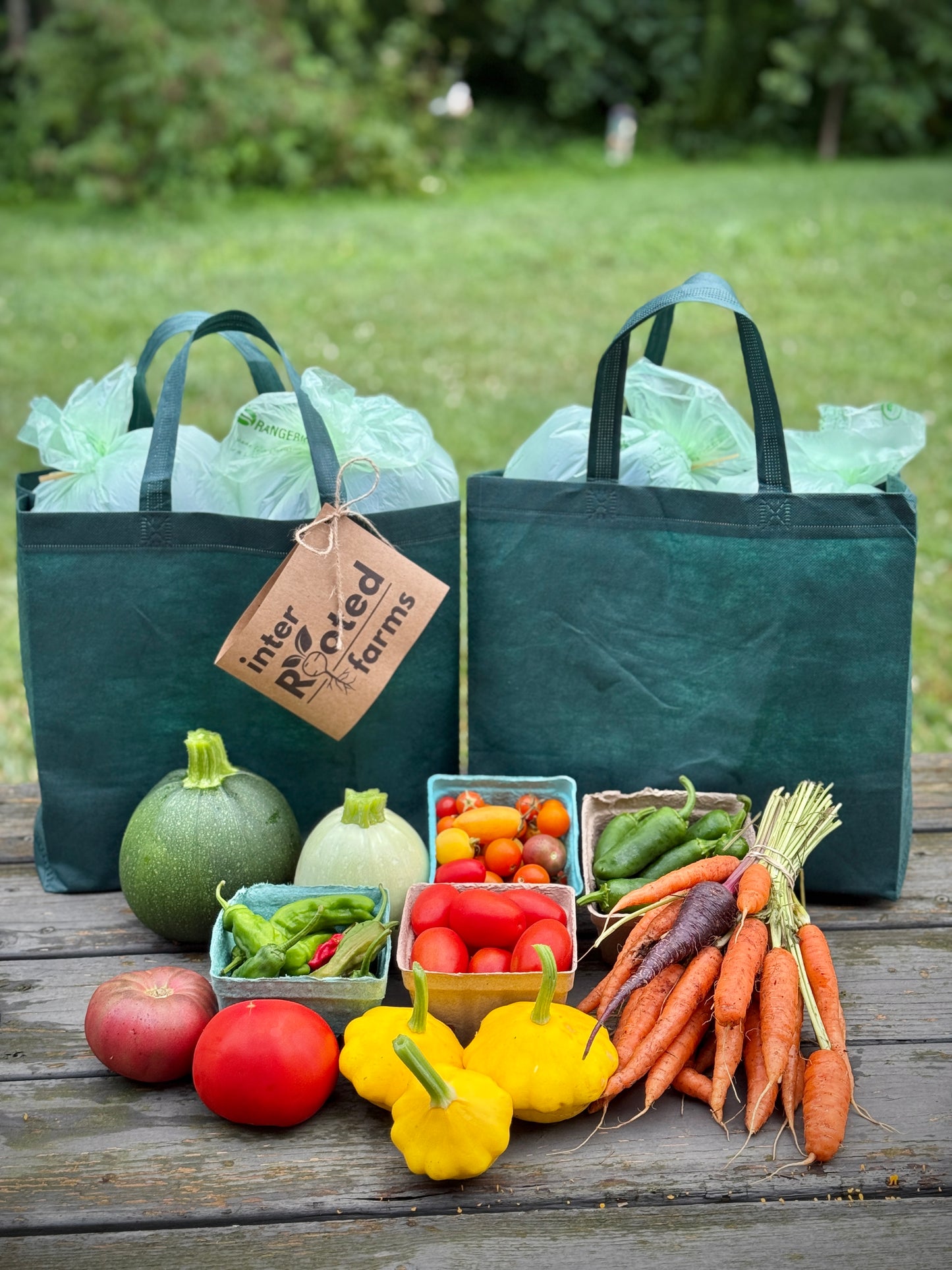 Deluxe Local Harvest Bag
