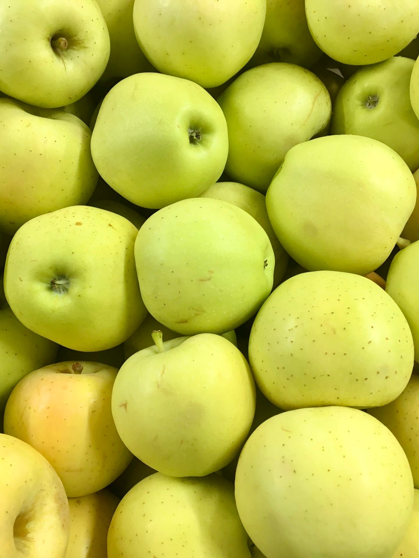 Apples (Blondee)