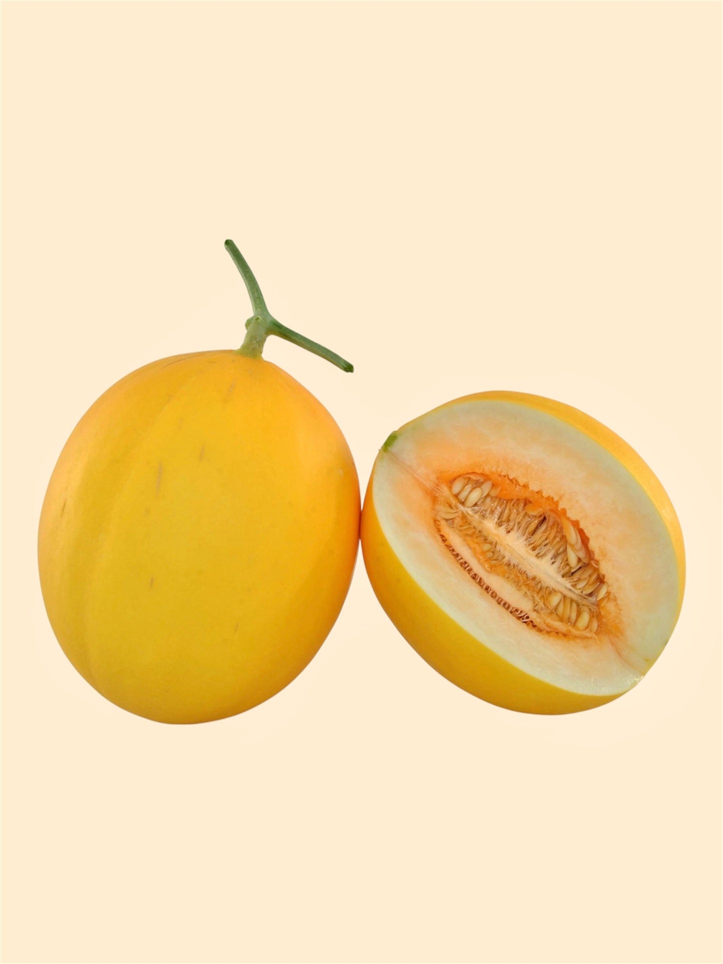 Brilliant Melon