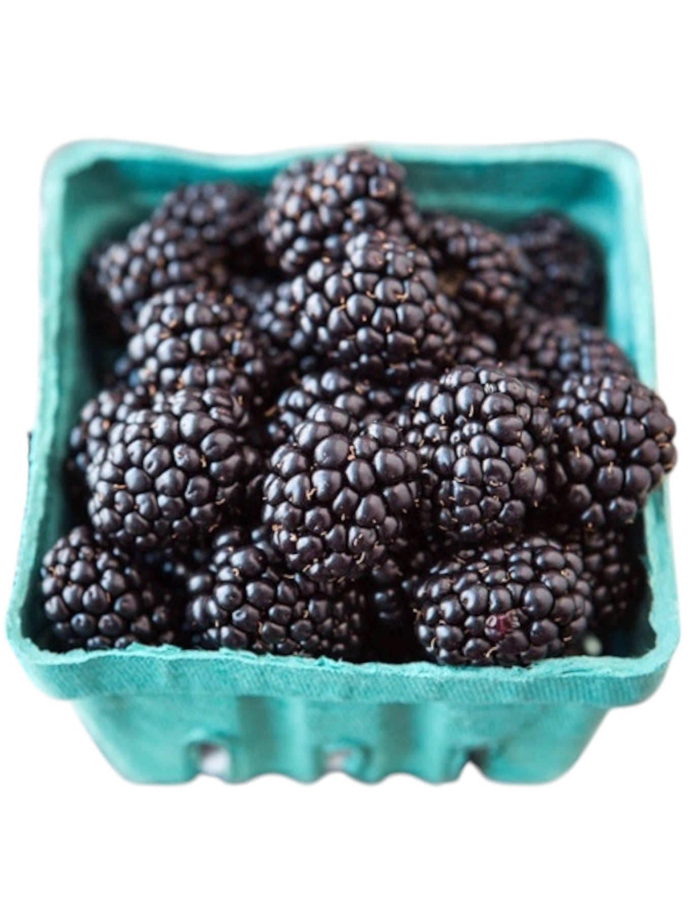 Blackberries (pint)