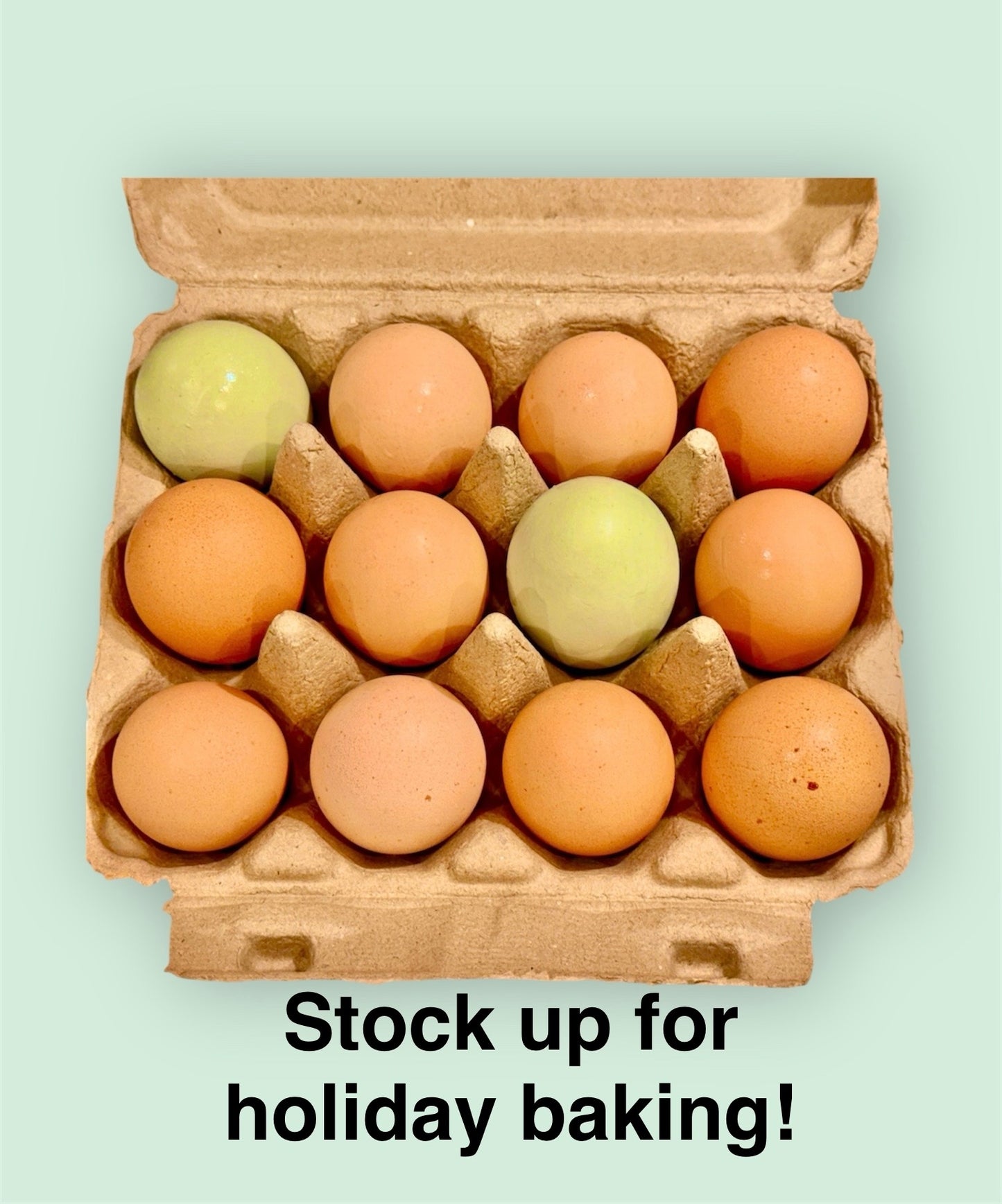 Local InterRooted Eggs (Dozen)