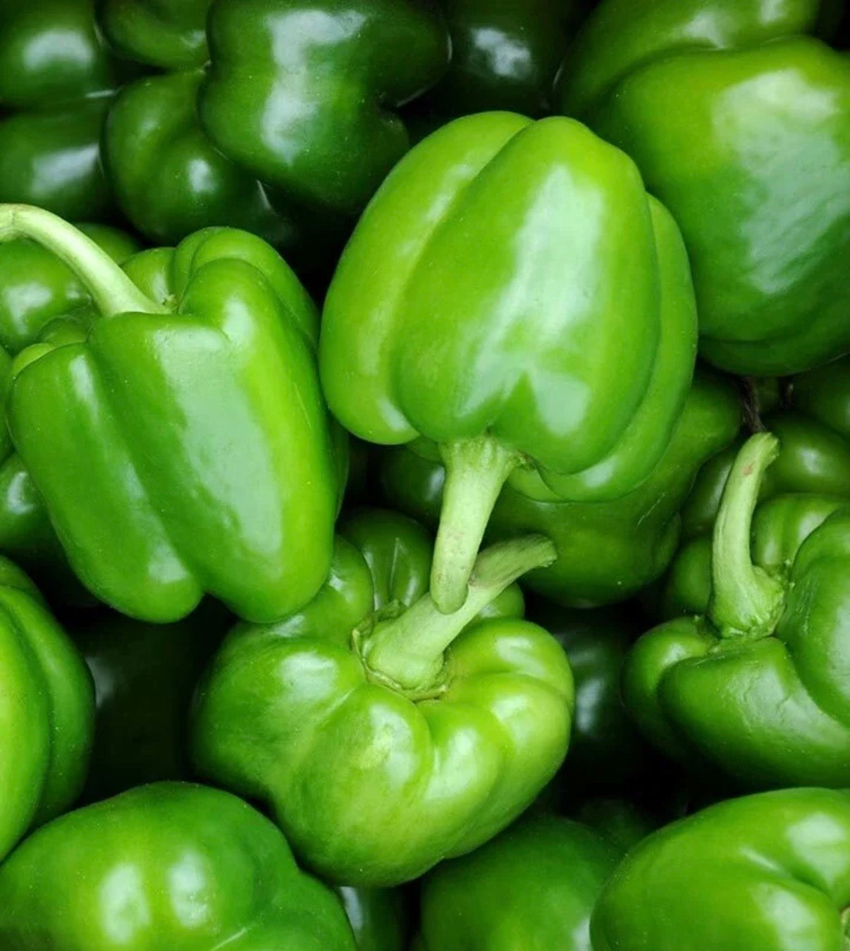 Green Bell Peppers (1 lb.)