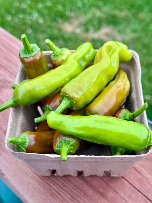 Italian Pepperoncini Peppers (pint)