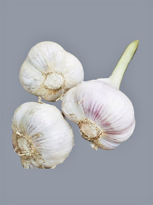 Garlic (3 oz.)