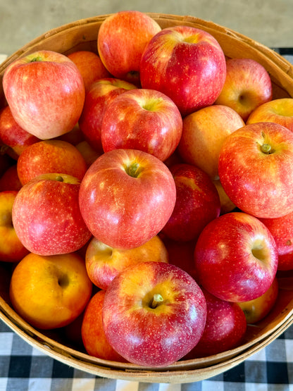 Apples (Gala)