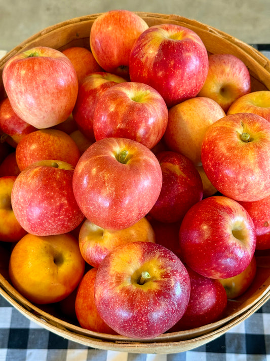 Apples (Gala)