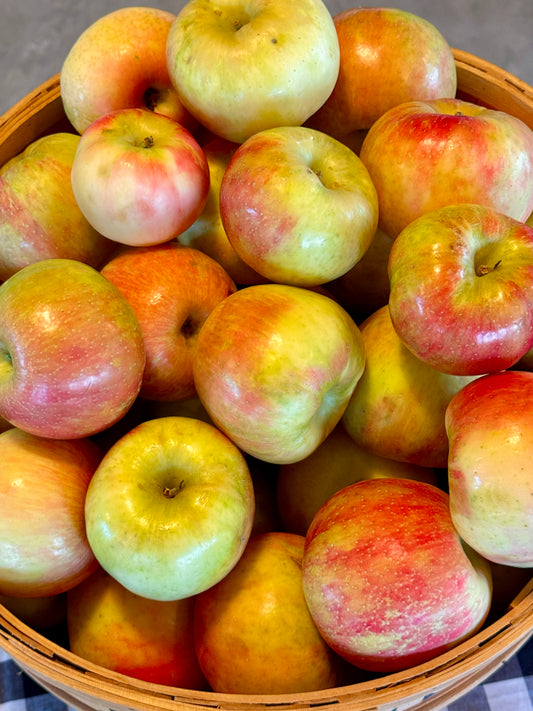Apples (Honeycrisp)