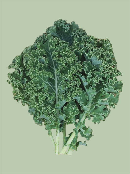 Curly Kale (bundle)