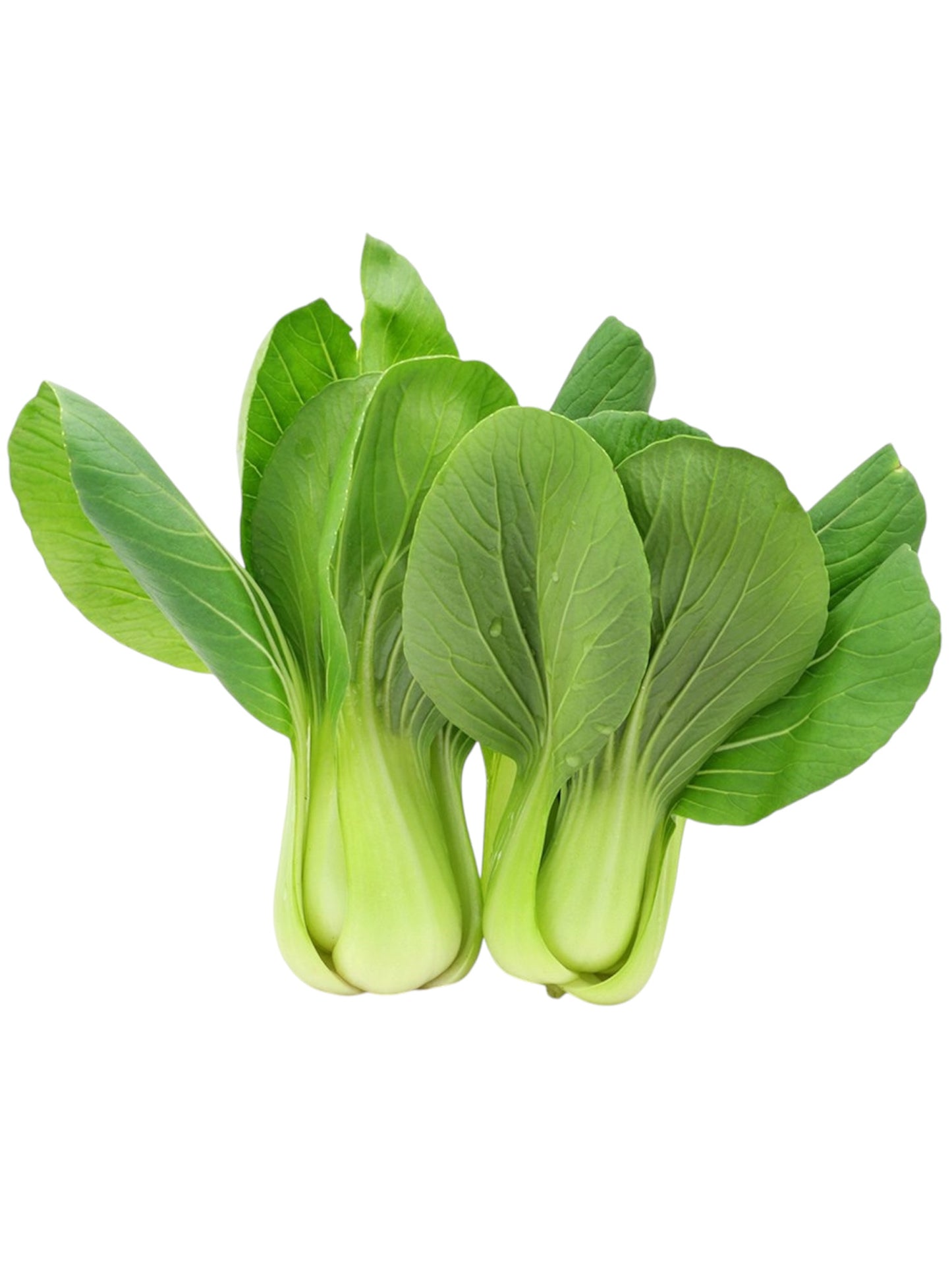 Bok Choy (bundle)