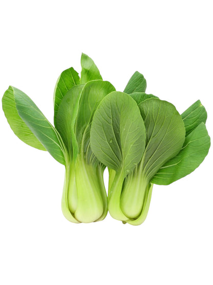 Baby Bok Choy (bundle)