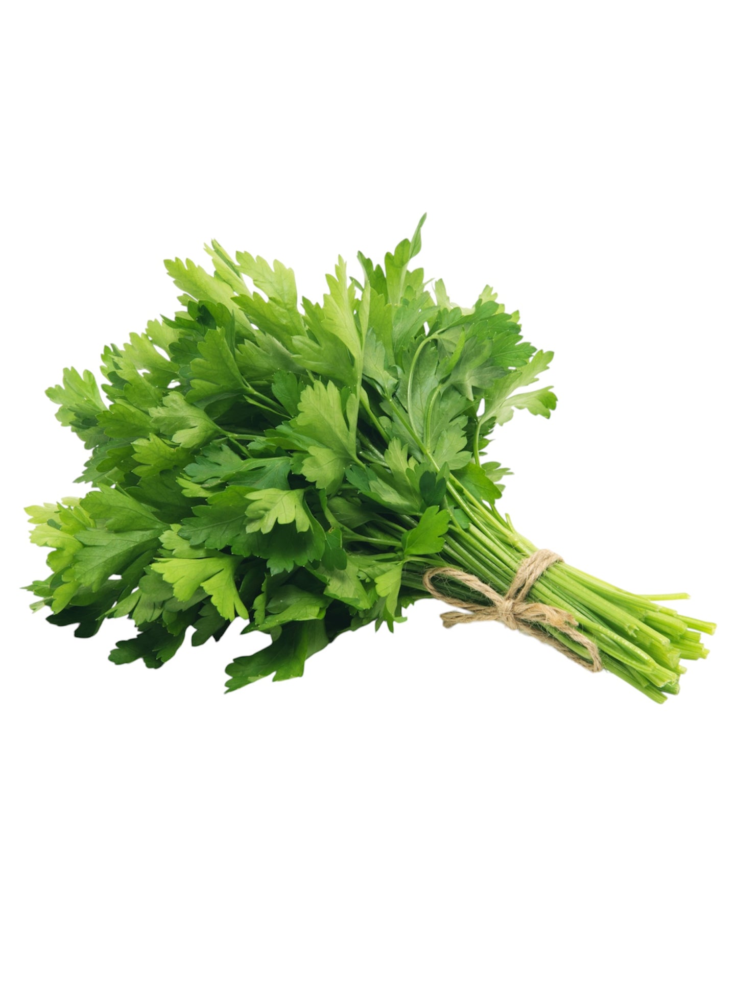 Parsley (bundle)