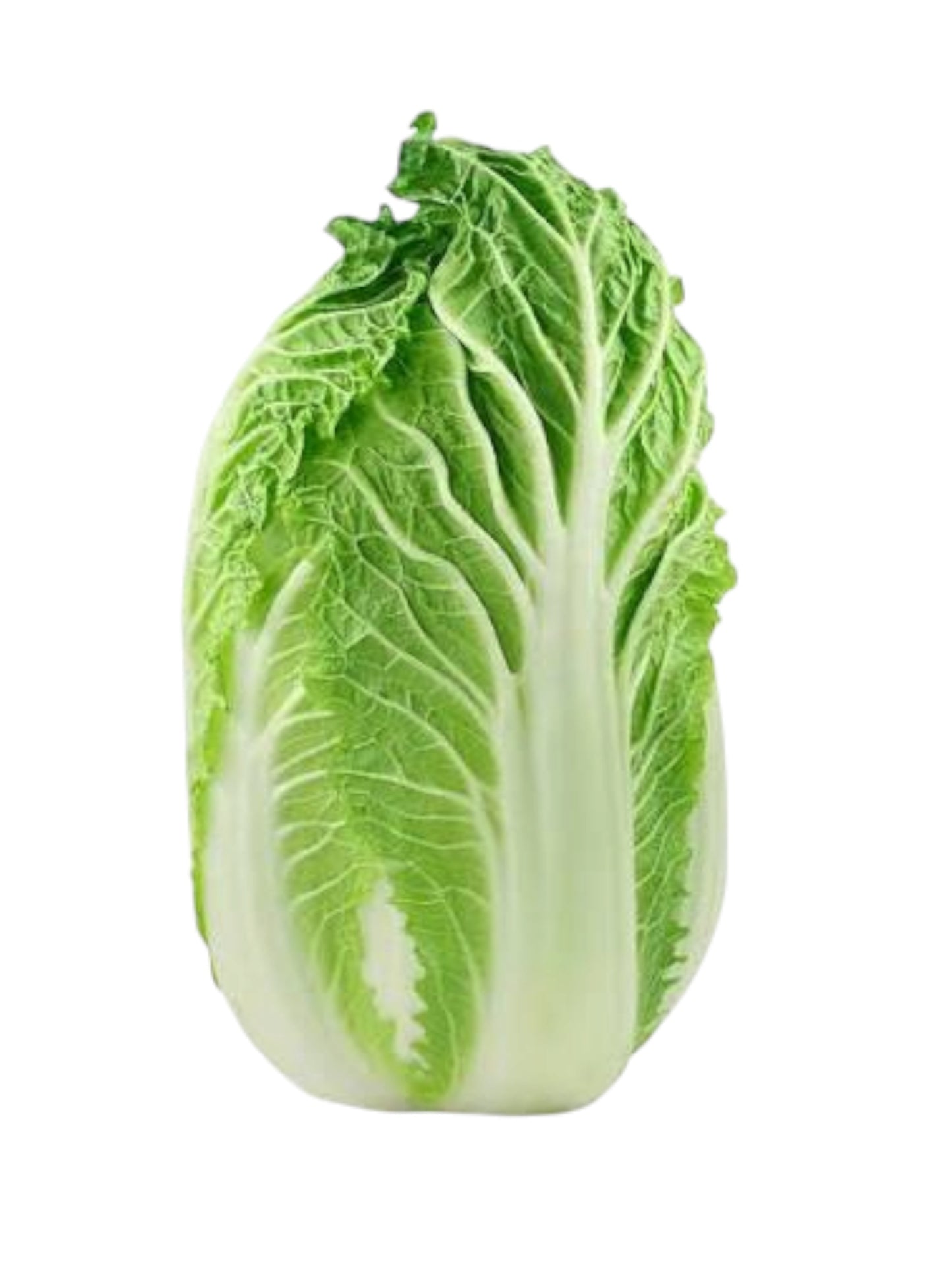 Napa Cabbage (1 head)