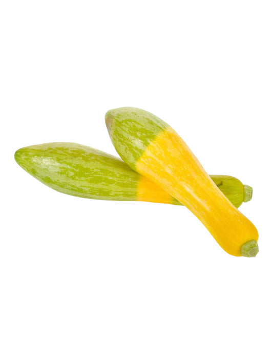 Zephyr Squash (1 lb)