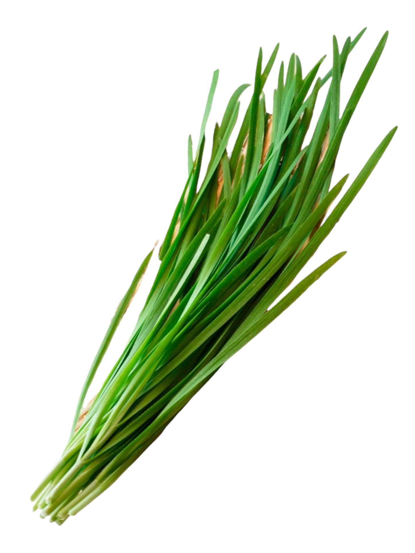 Garlic Chives (bundle)