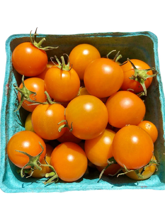 Sungold Tomatoes (pint)