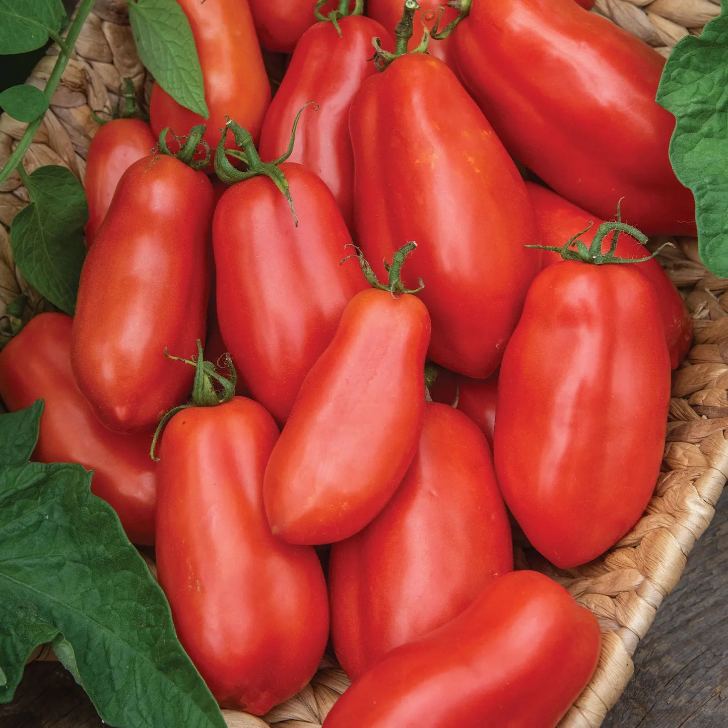 San Marzano Tomatoes (quart)