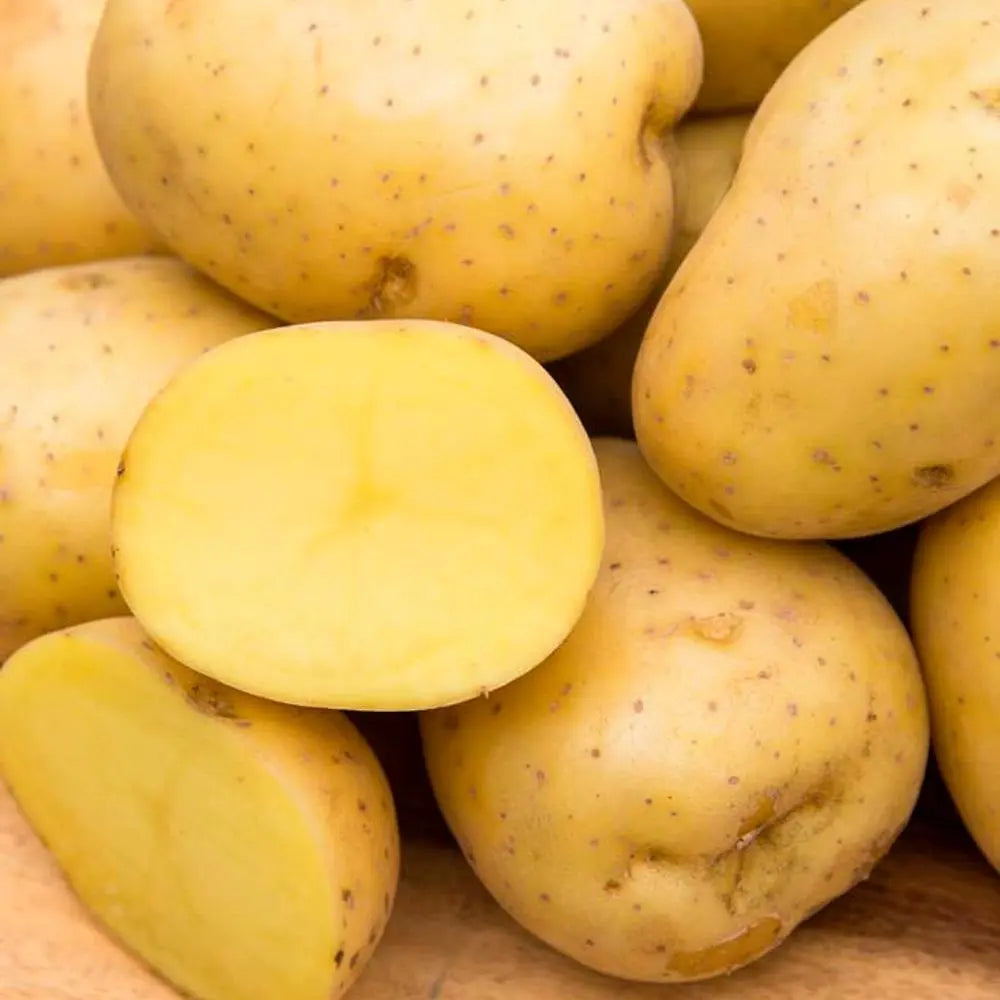 Yukon Gold Potatoes (2 lb.)