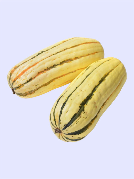 Delicata Squash