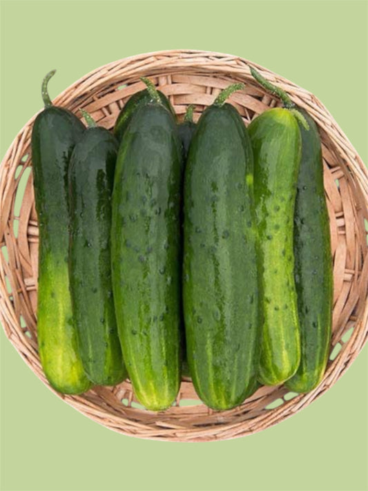 Slicing Cucumbers (1 lb.)