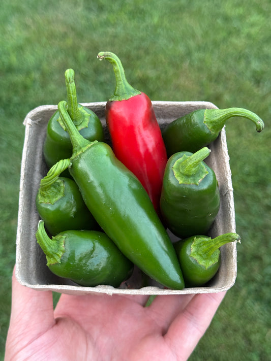Jalapeño Peppers (pint)