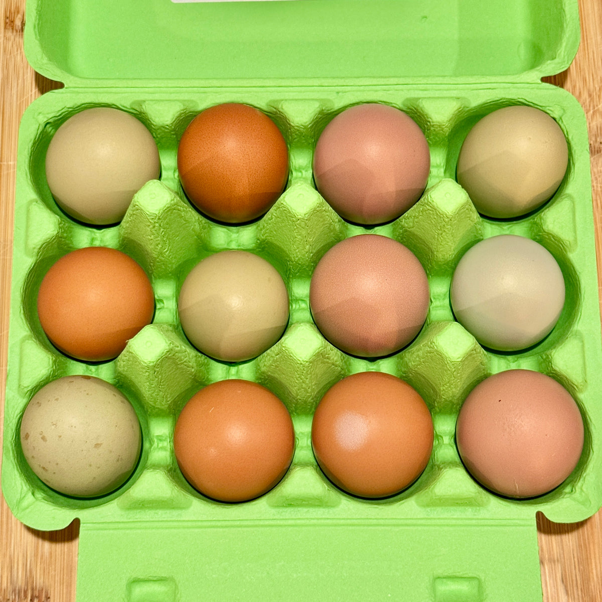 Peewee Size InterRooted Eggs (Dozen)