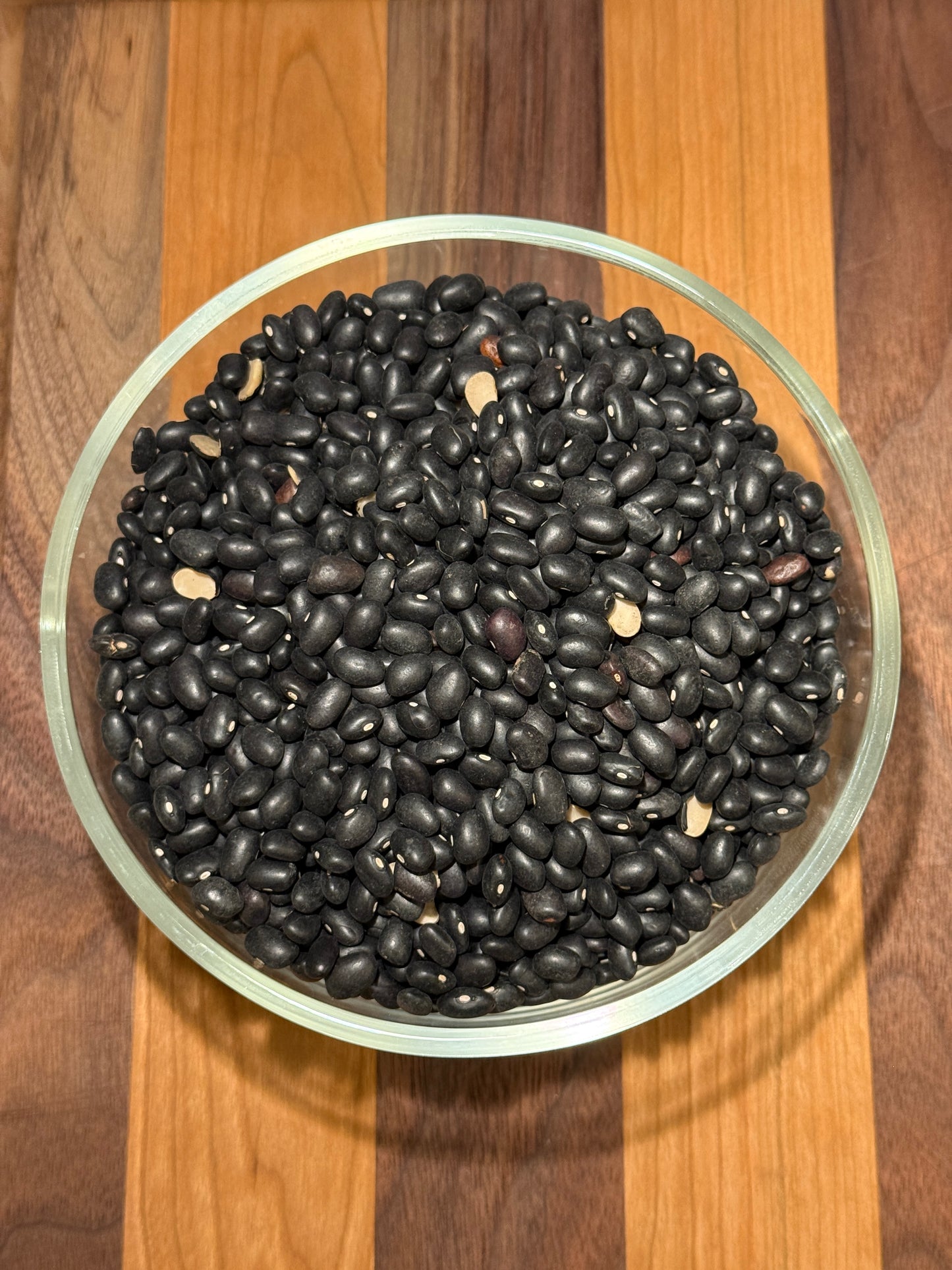Organic Heirloom Black Turtle Beans (2 lbs.)