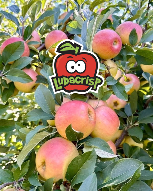 Apples (Ludacrisp)