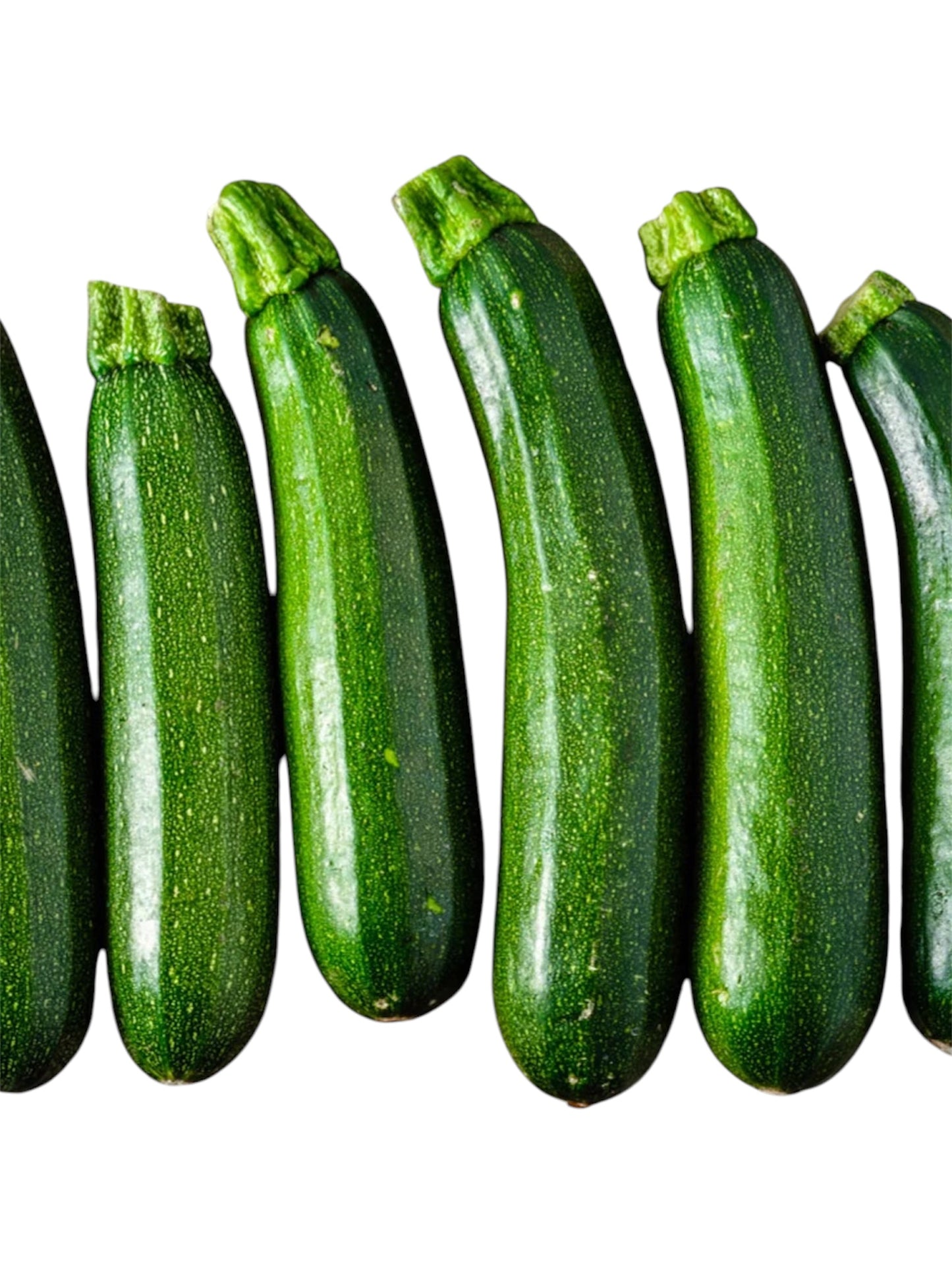Zucchini Squash
