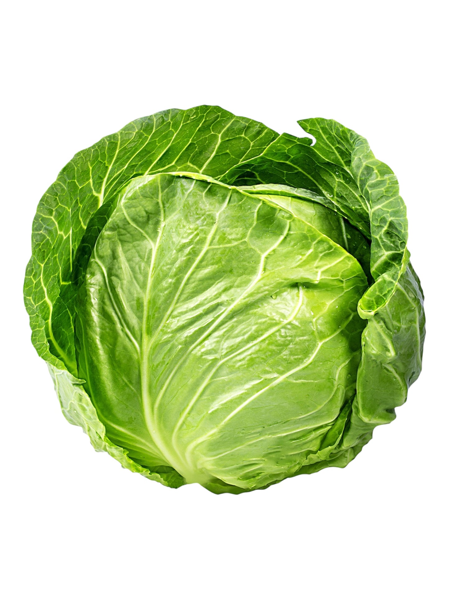 Cabbage (1 head)