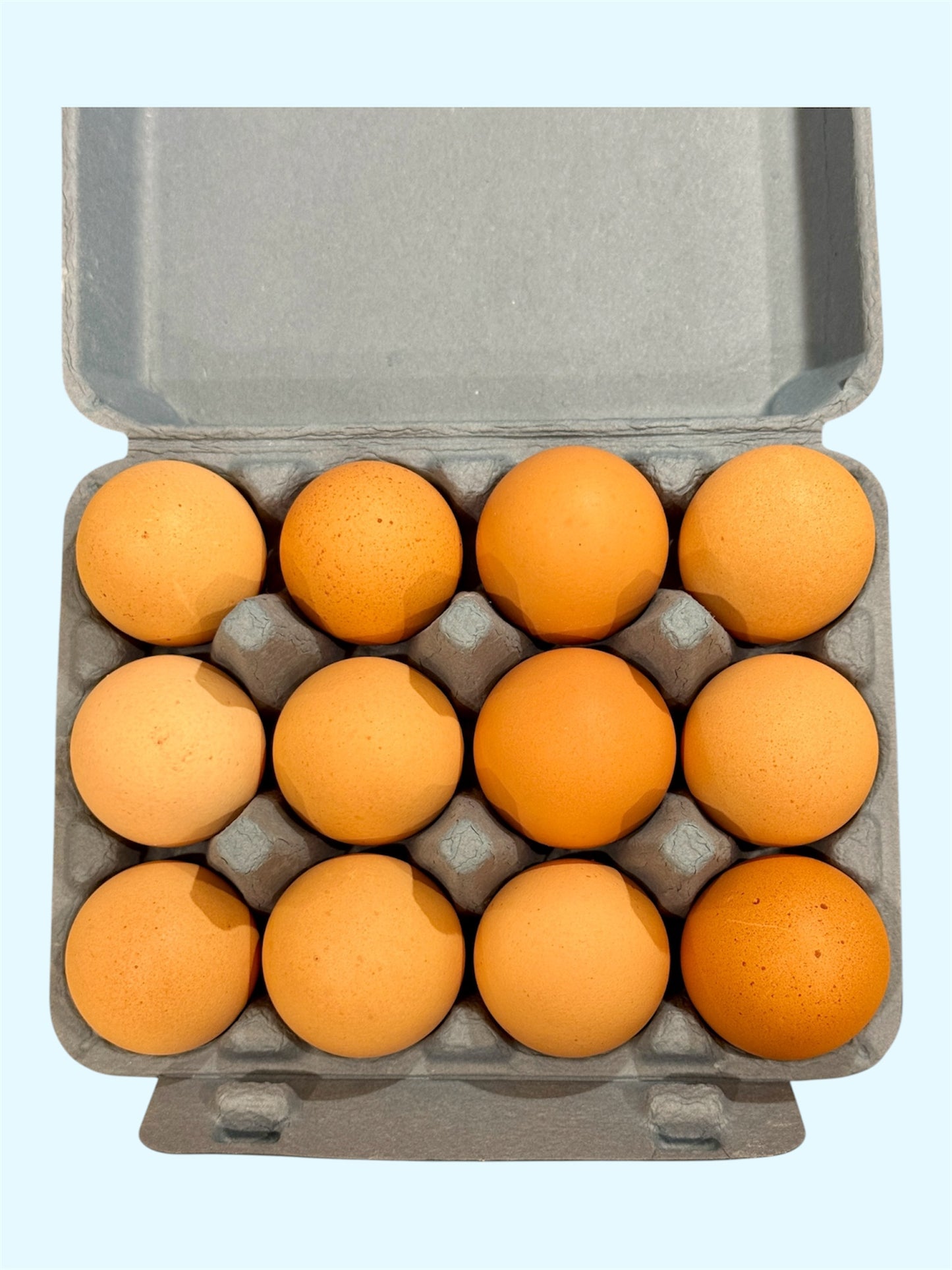 Local Wild Wolff Pastures Eggs (Dozen)