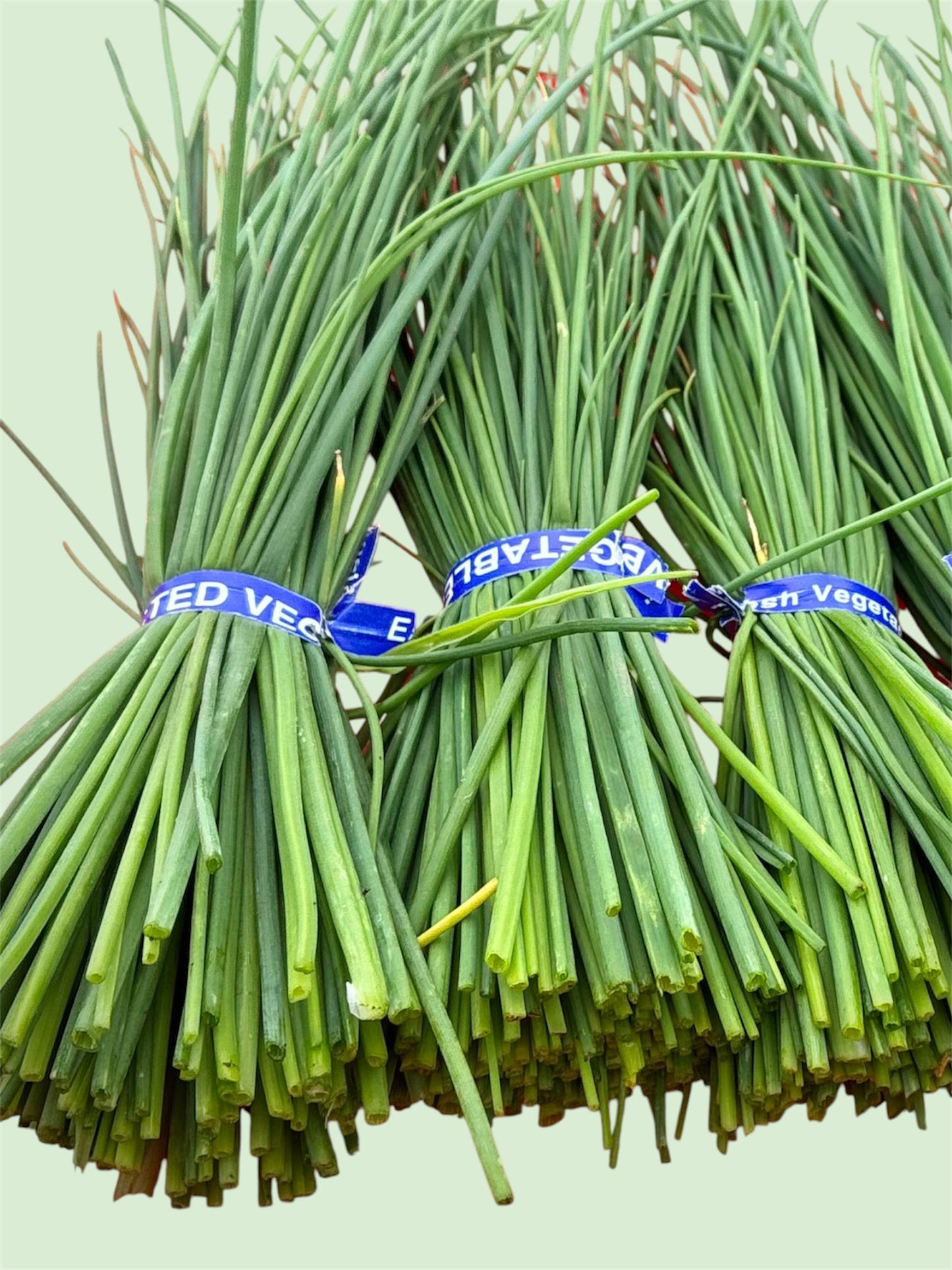 Chives (bundle)