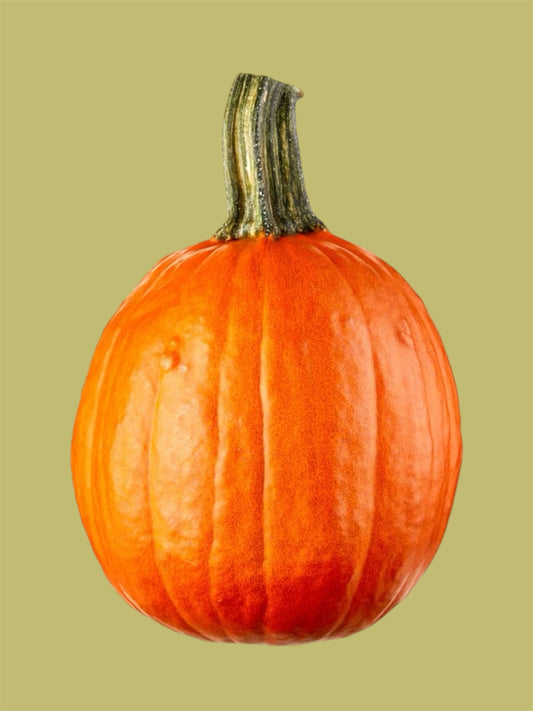 Pie Pumpkin
