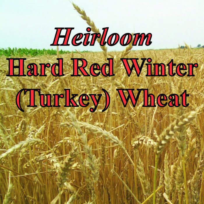 Organic Heirloom Whole Wheat Flour (26oz.)