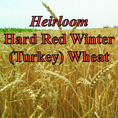Organic Heirloom Whole Wheat Flour (26oz.)