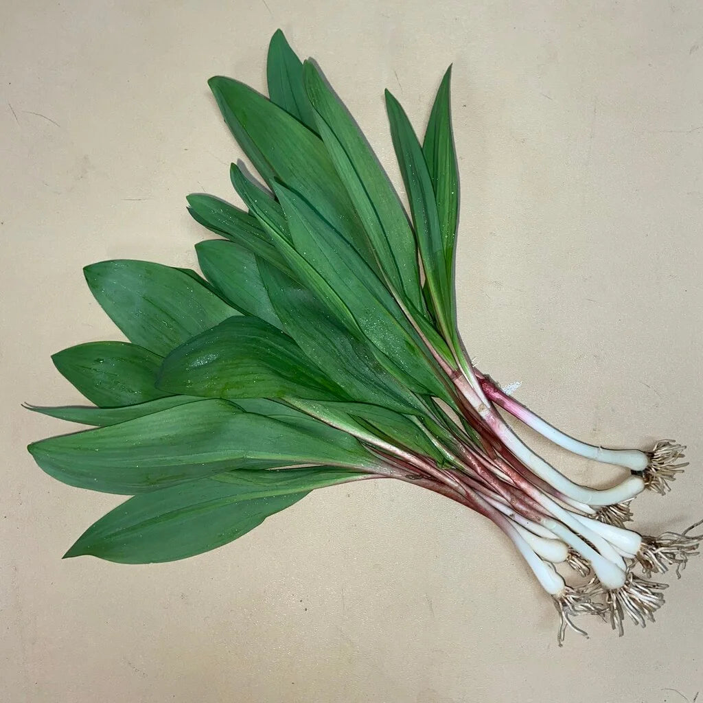 Ramps (bundle)