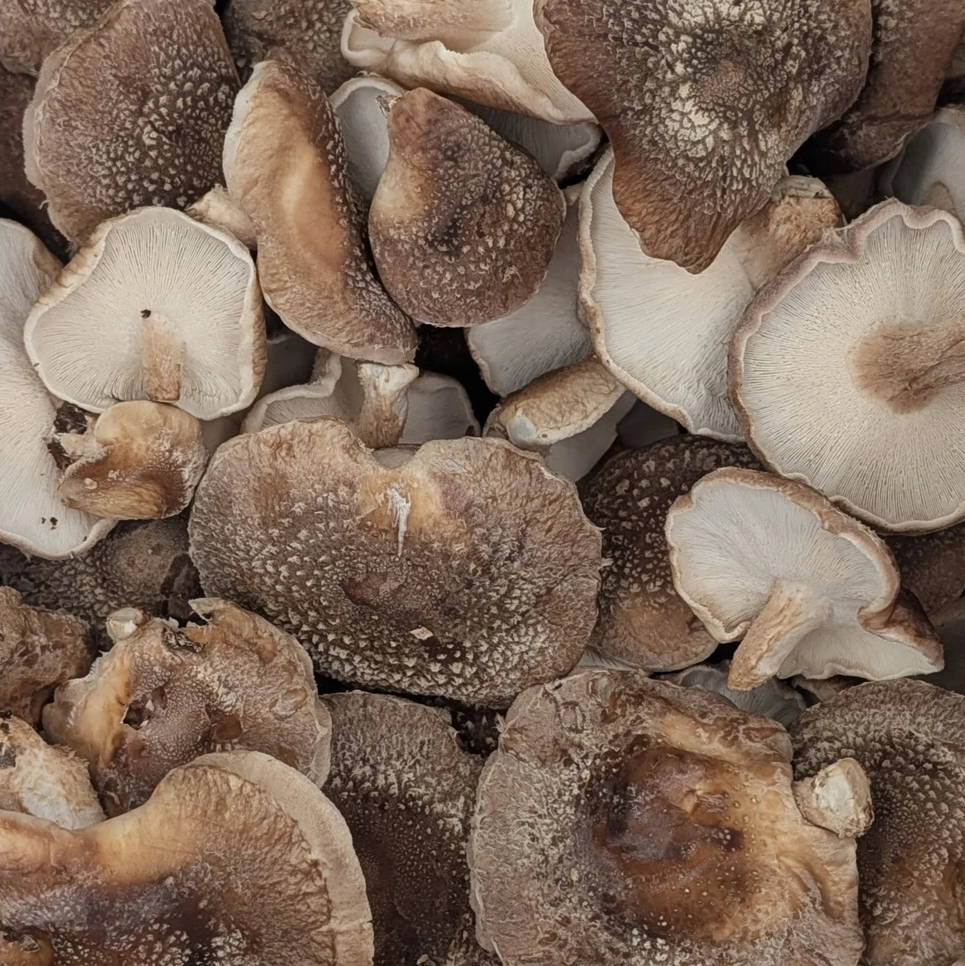 Shiitake Mushrooms (6 oz.)